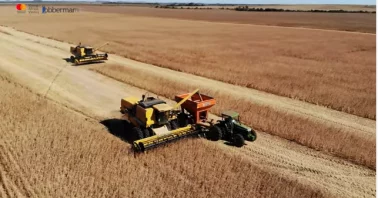 A tractor harvesting wheat